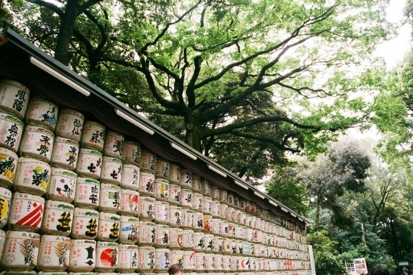 How Long Does Sake Last Once Opened Sakesensei